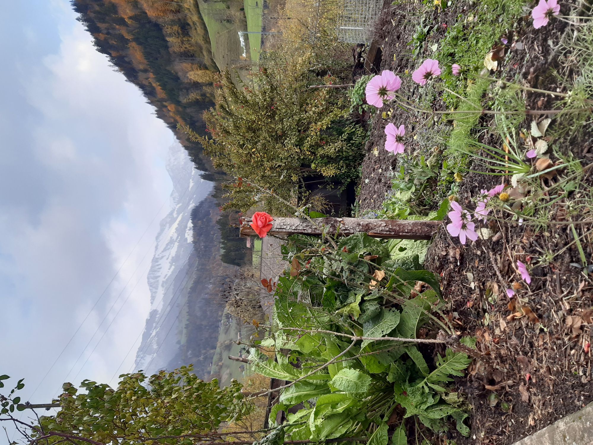 luzias-garten-osten-web luzias-garten-osten-web