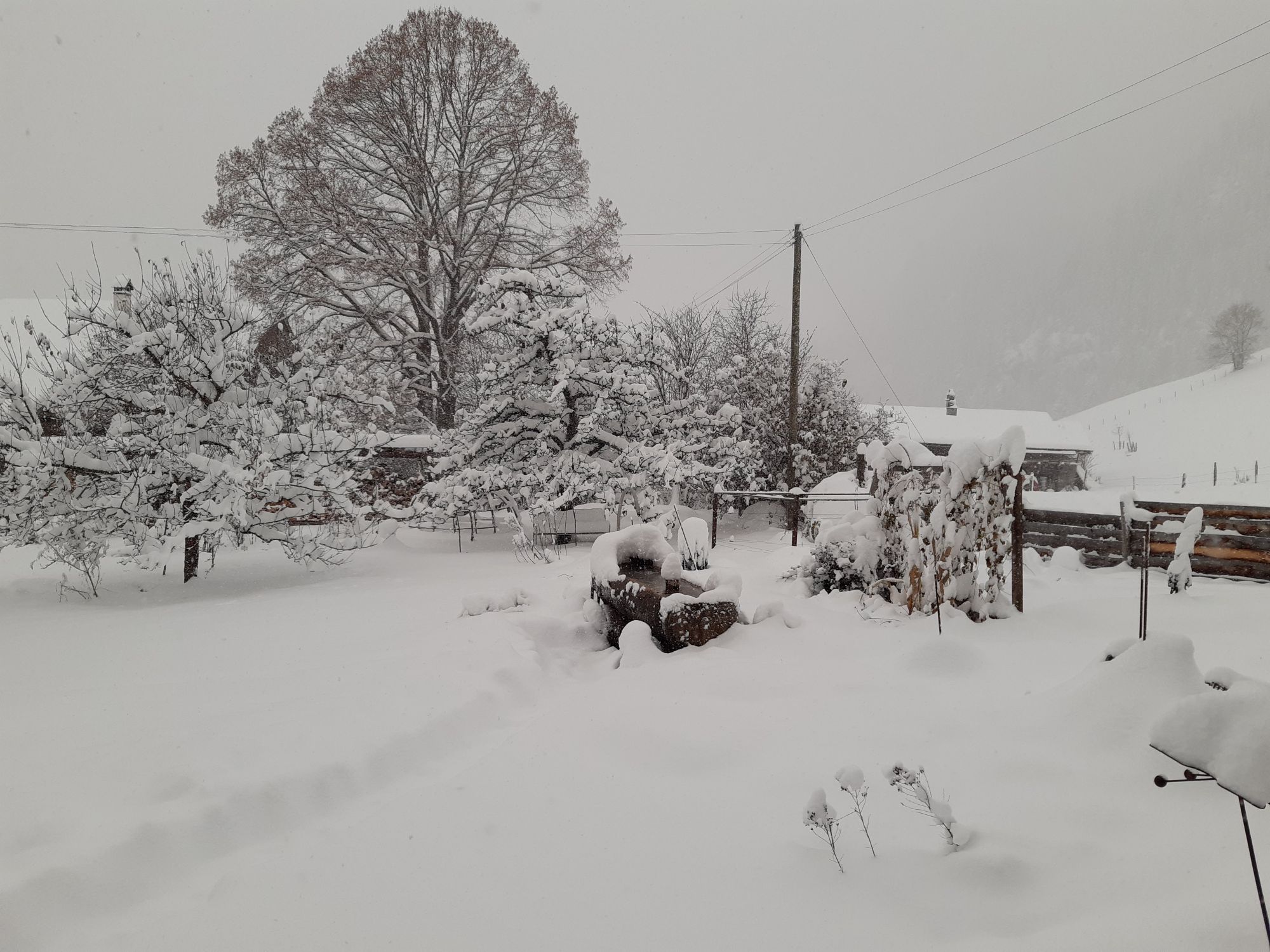 susanna-krebs-web susanna-krebs-web